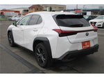 LEXUS UX250h