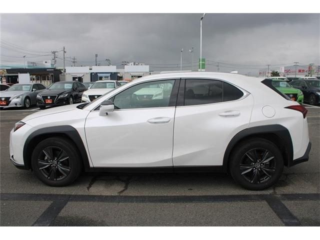 LEXUS UX250h