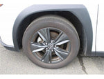 LEXUS UX250h