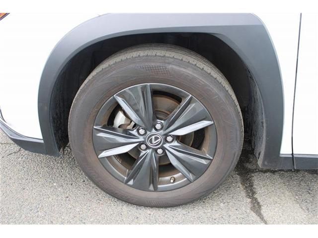 LEXUS UX250h