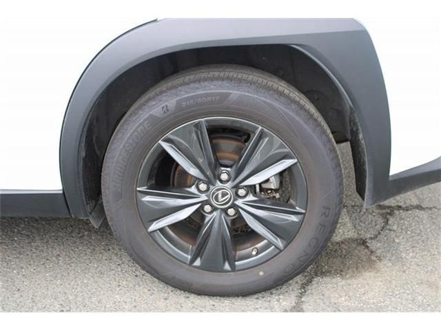 LEXUS UX250h