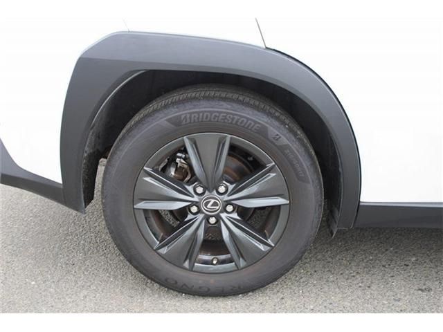 LEXUS UX250h