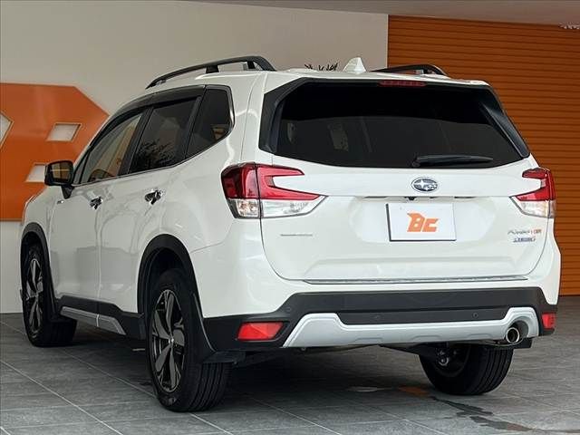 FORESTER