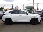 LEXUS NX450h+ AWD