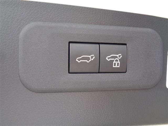 LEXUS NX450h+ AWD