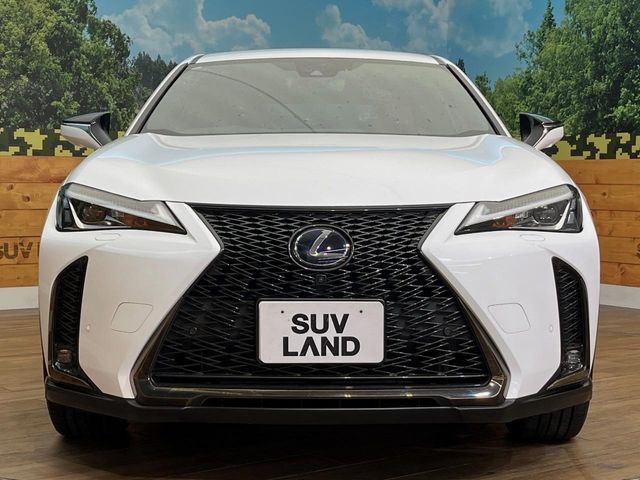 LEXUS UX250h AWD