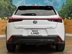 LEXUS UX250h AWD