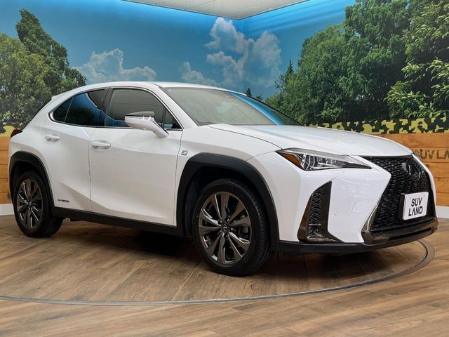 LEXUS UX250h AWD