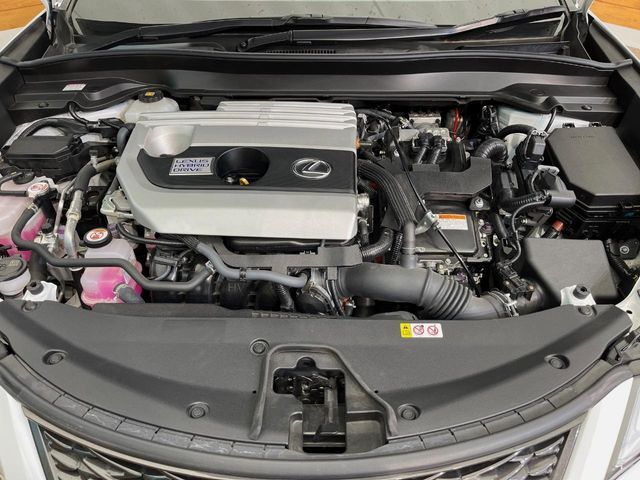 LEXUS UX250h AWD