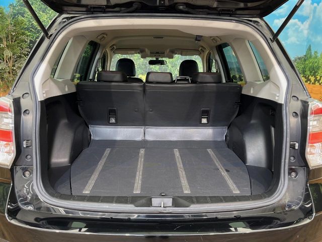 FORESTER