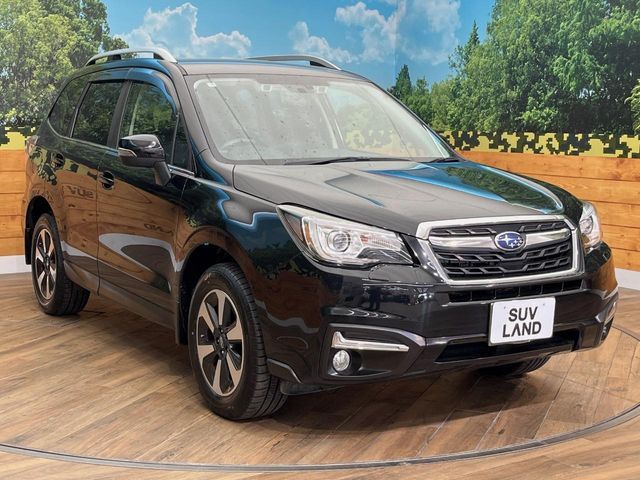 FORESTER
