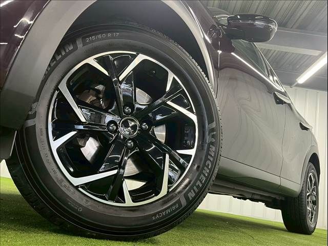 CITROEN DS3 CROSSBACK
