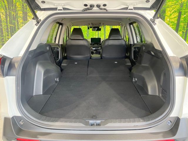 RAV4 HYBRID 4WD