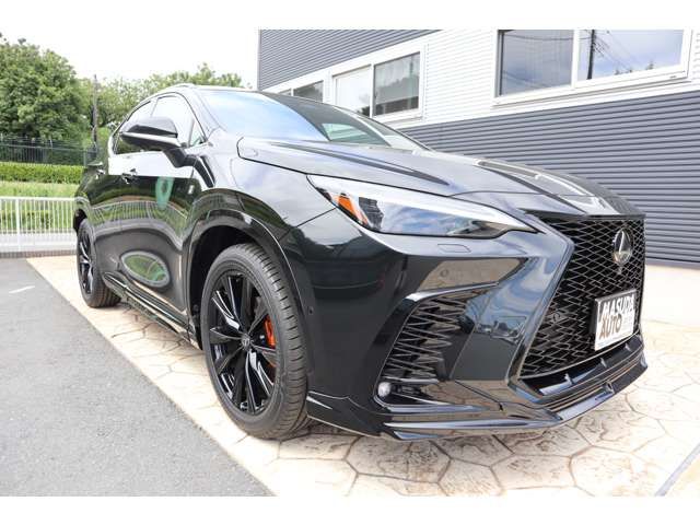 LEXUS NX350h AWD