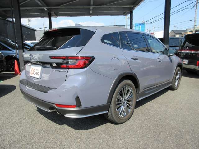 LEVORG LAYBACK