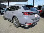 LEVORG LAYBACK
