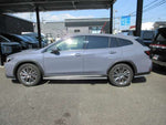 LEVORG LAYBACK