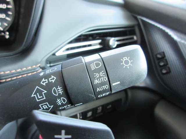 LEVORG LAYBACK