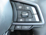 LEVORG LAYBACK