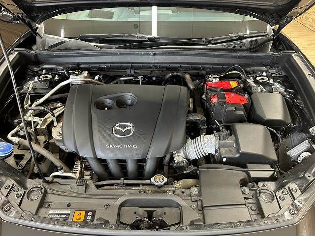 CX-30