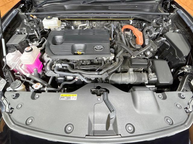 CROWN SPORT