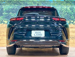 CROWN SPORT
