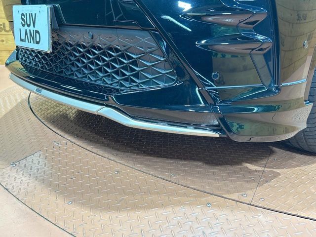 CROWN SPORT