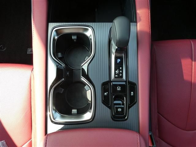 LEXUS RX500h