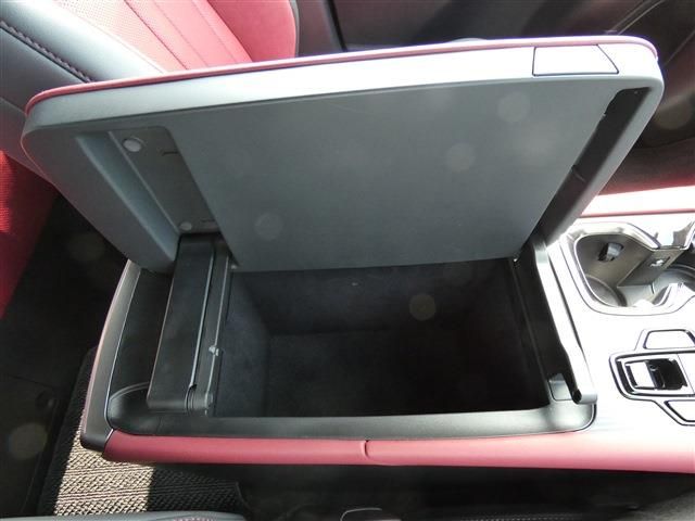 LEXUS RX500h