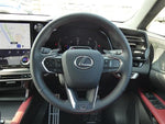 LEXUS RX500h