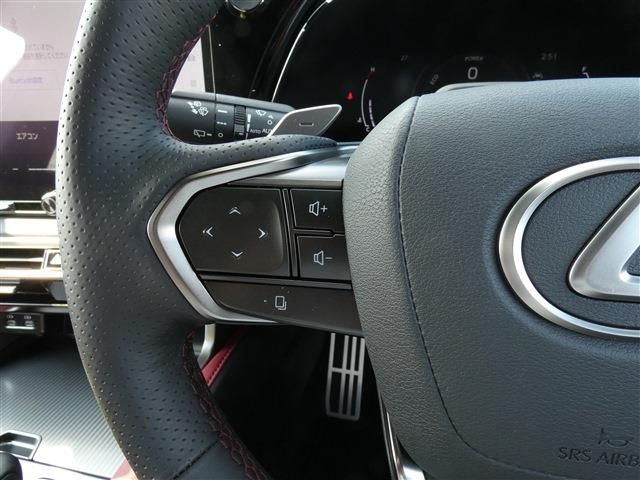 LEXUS RX500h