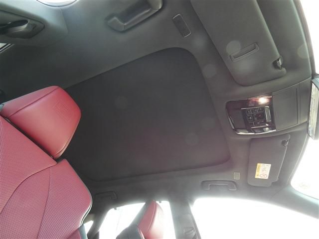 LEXUS RX500h
