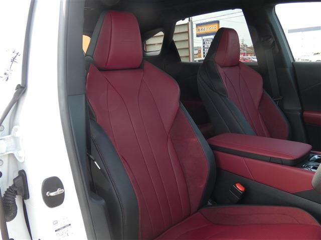 LEXUS RX500h