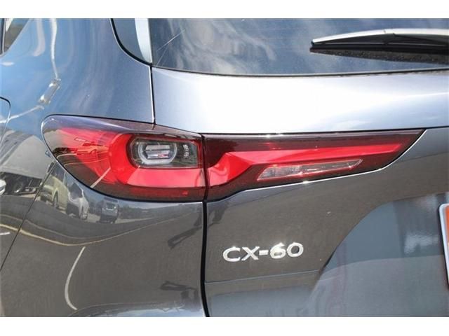CX-60