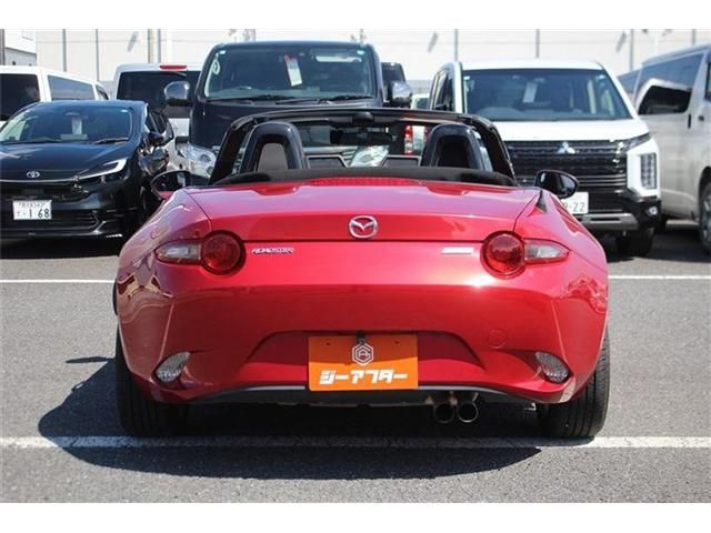 ROADSTER