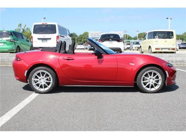 ROADSTER