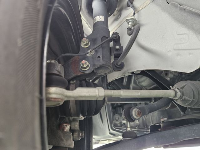 DAYZ ROOX