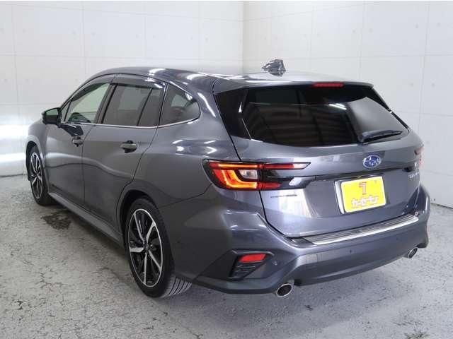 LEVORG