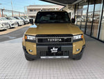 LANDCRUISER 250