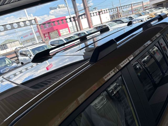 LANDCRUISER 250