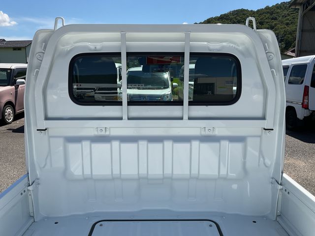 CARRY truck