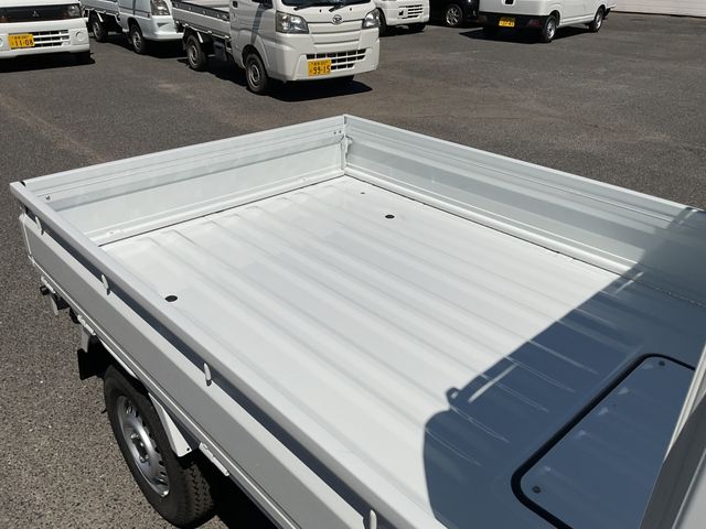 CARRY truck