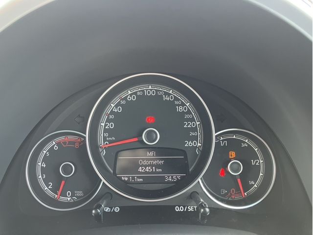 VOLKSWAGEN The BEETLE