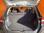 RAIZE HYBRID