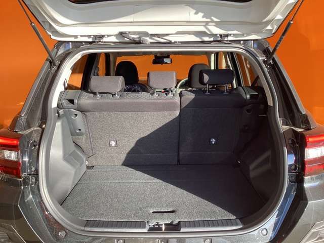 RAIZE HYBRID