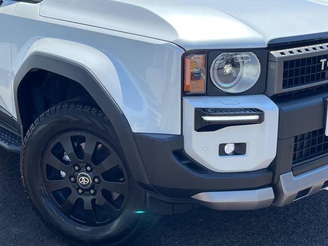 LANDCRUISER 250