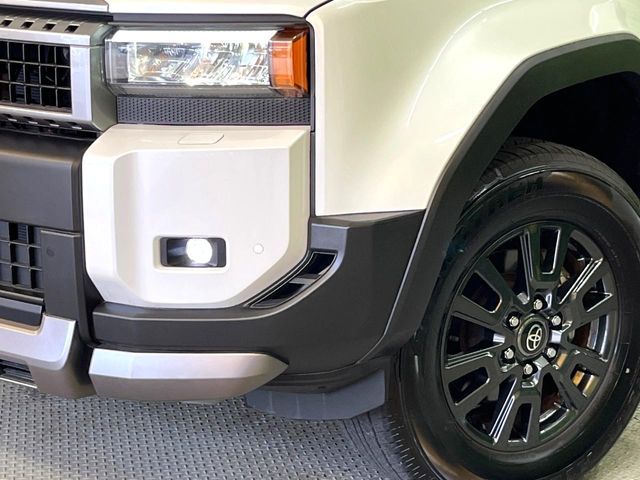 LANDCRUISER 250