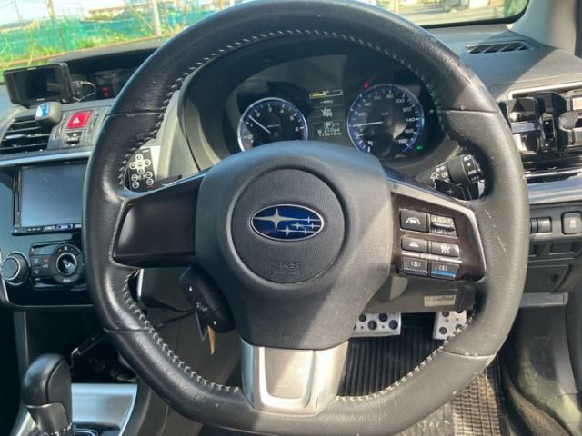 LEVORG