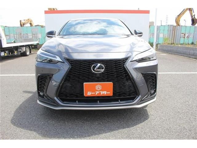 LEXUS NX450h+ AWD