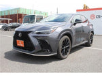 LEXUS NX450h+ AWD